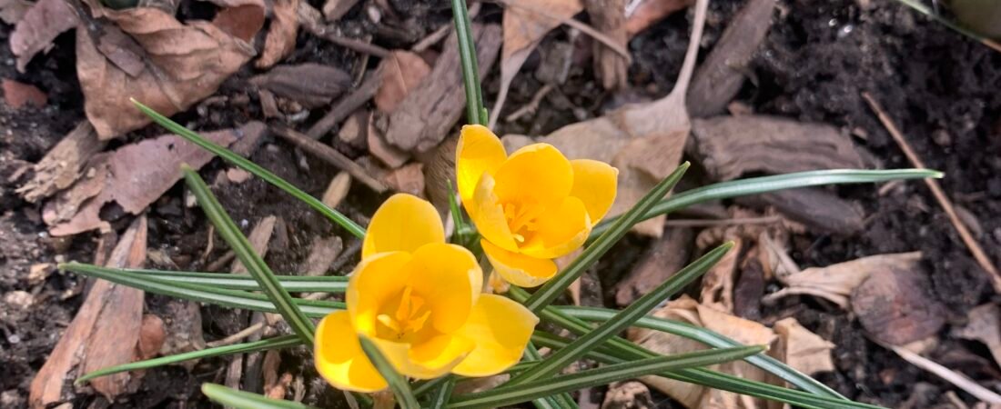 March 15 2022