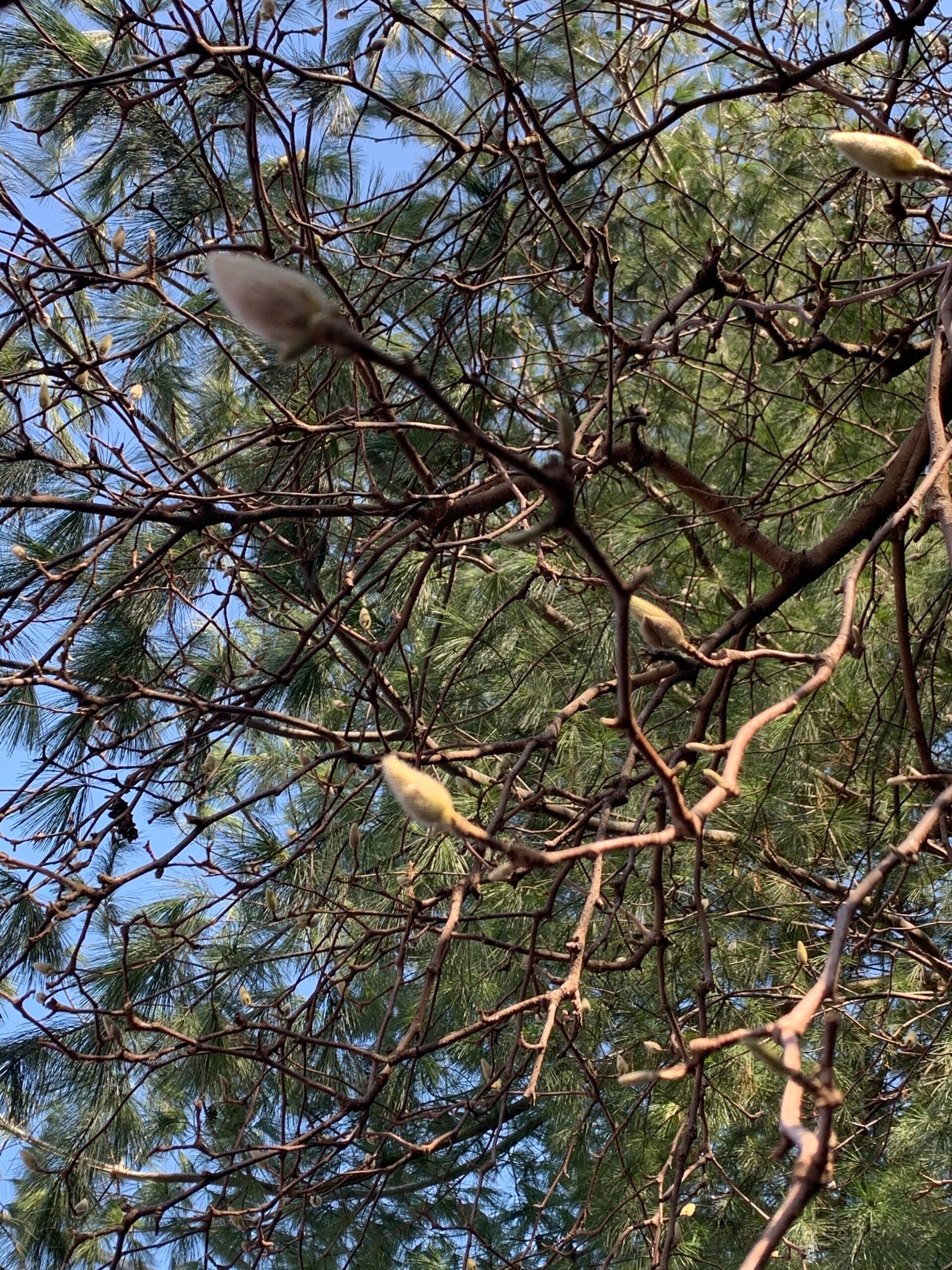 February 23 2025 – First Spring Report