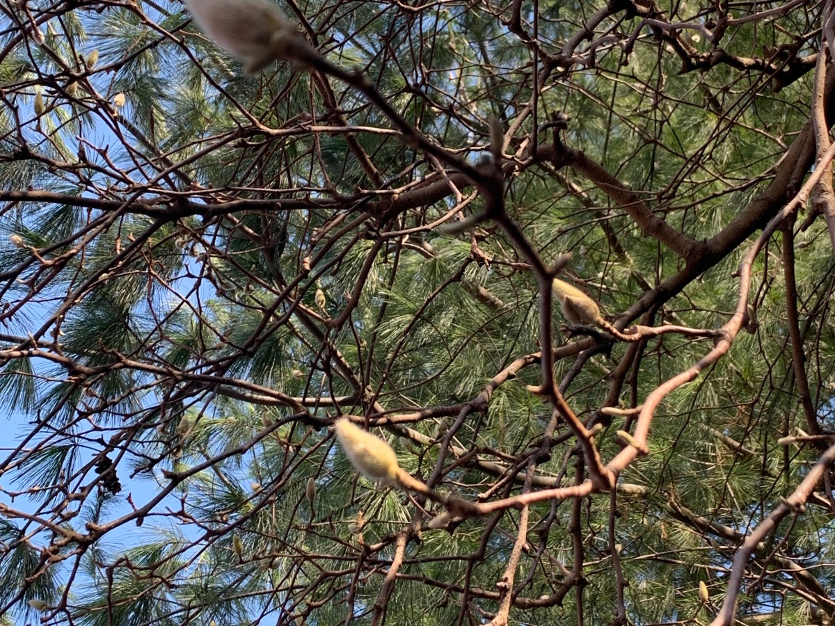 February 23 2025 – First Spring Report