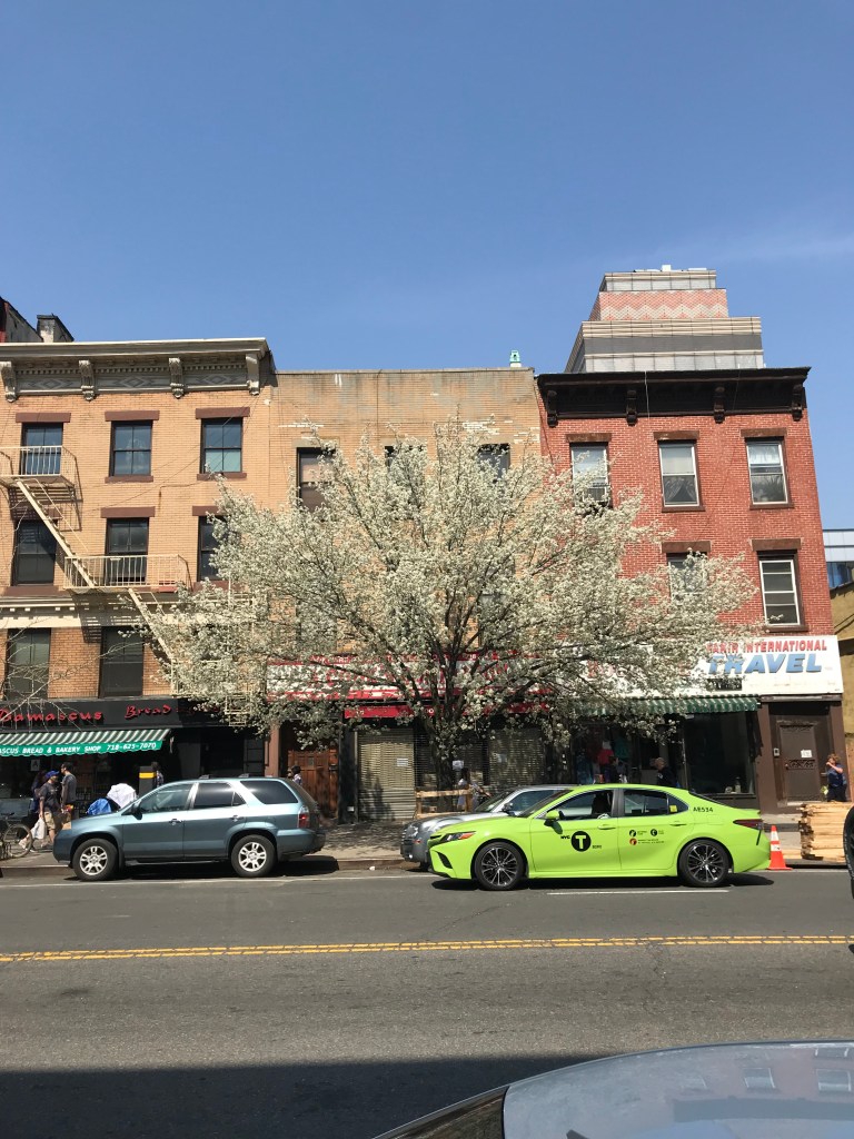 The Most Beautiful Streets with magnificent blossoms in NYC
