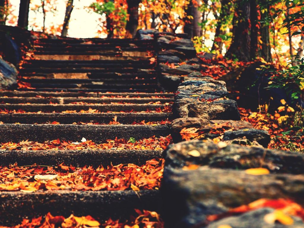 Best places to catch the foliage colors in NYC