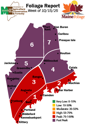 Fall foliage conditions map