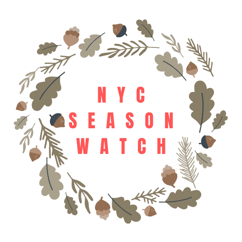 NYC Season Watch