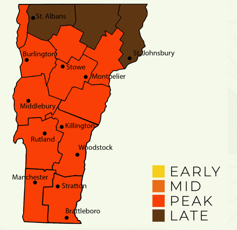 Northeast leaves changing color
