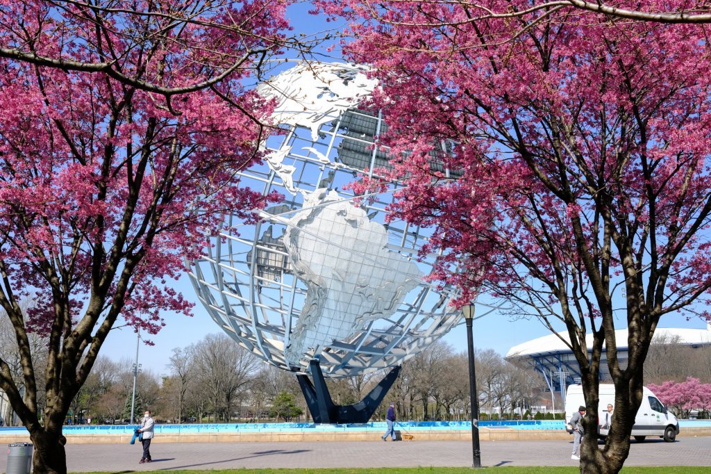 Cherry blossoms at Flushing Meadows Corona Park