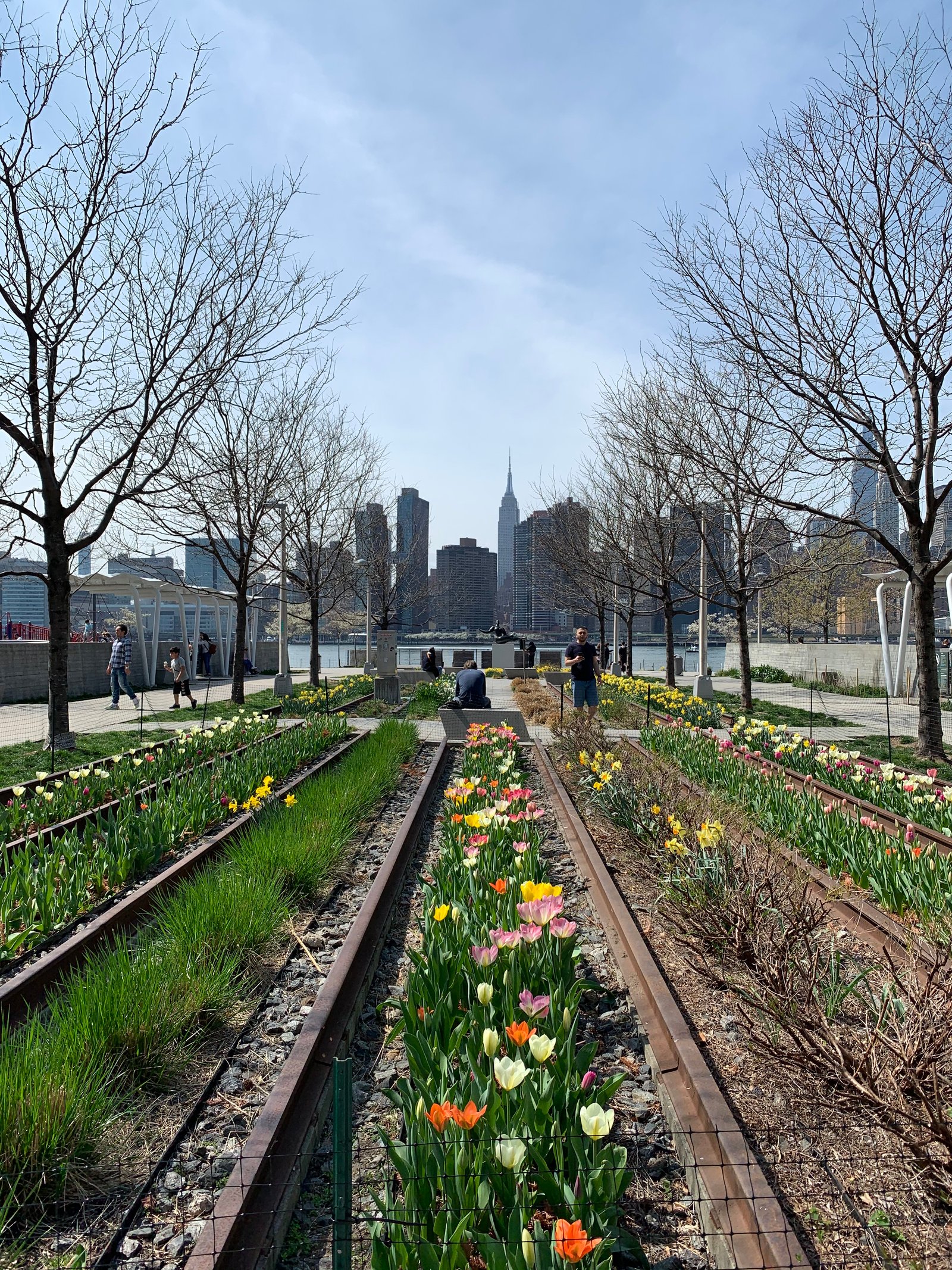 LIC waterfront cherry blossoms